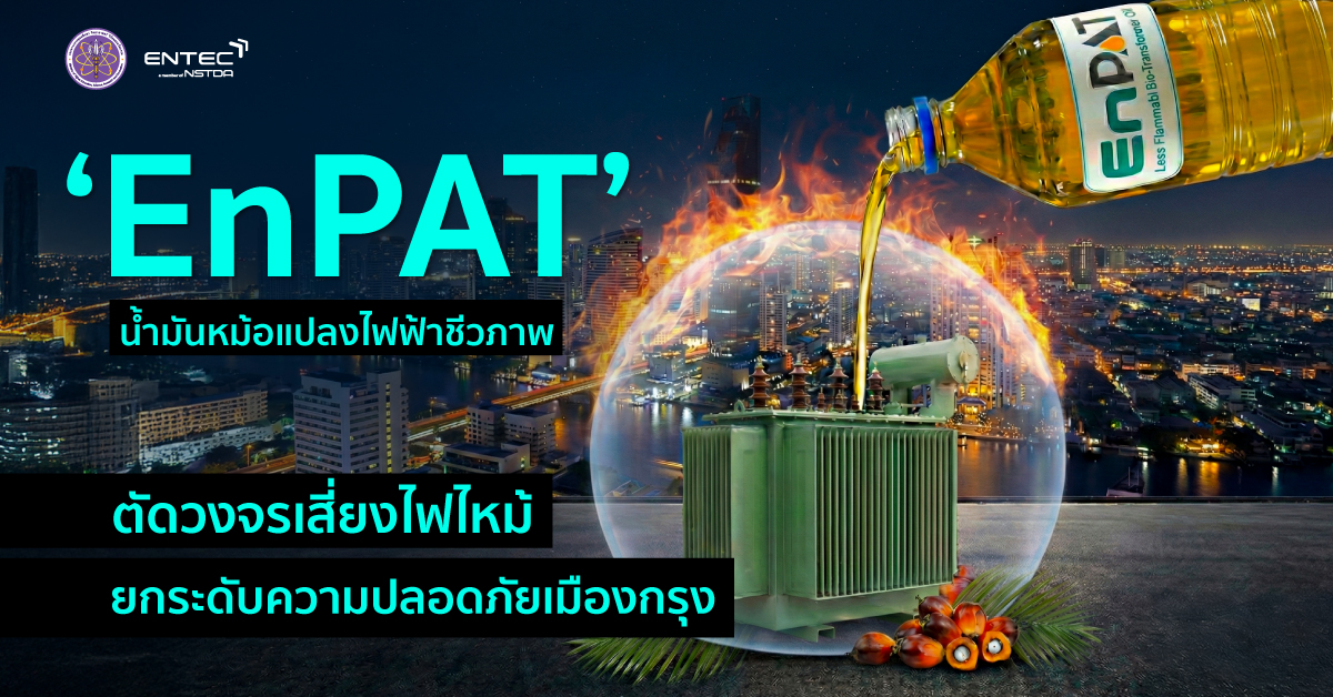 Cover EnPAT WEB 1