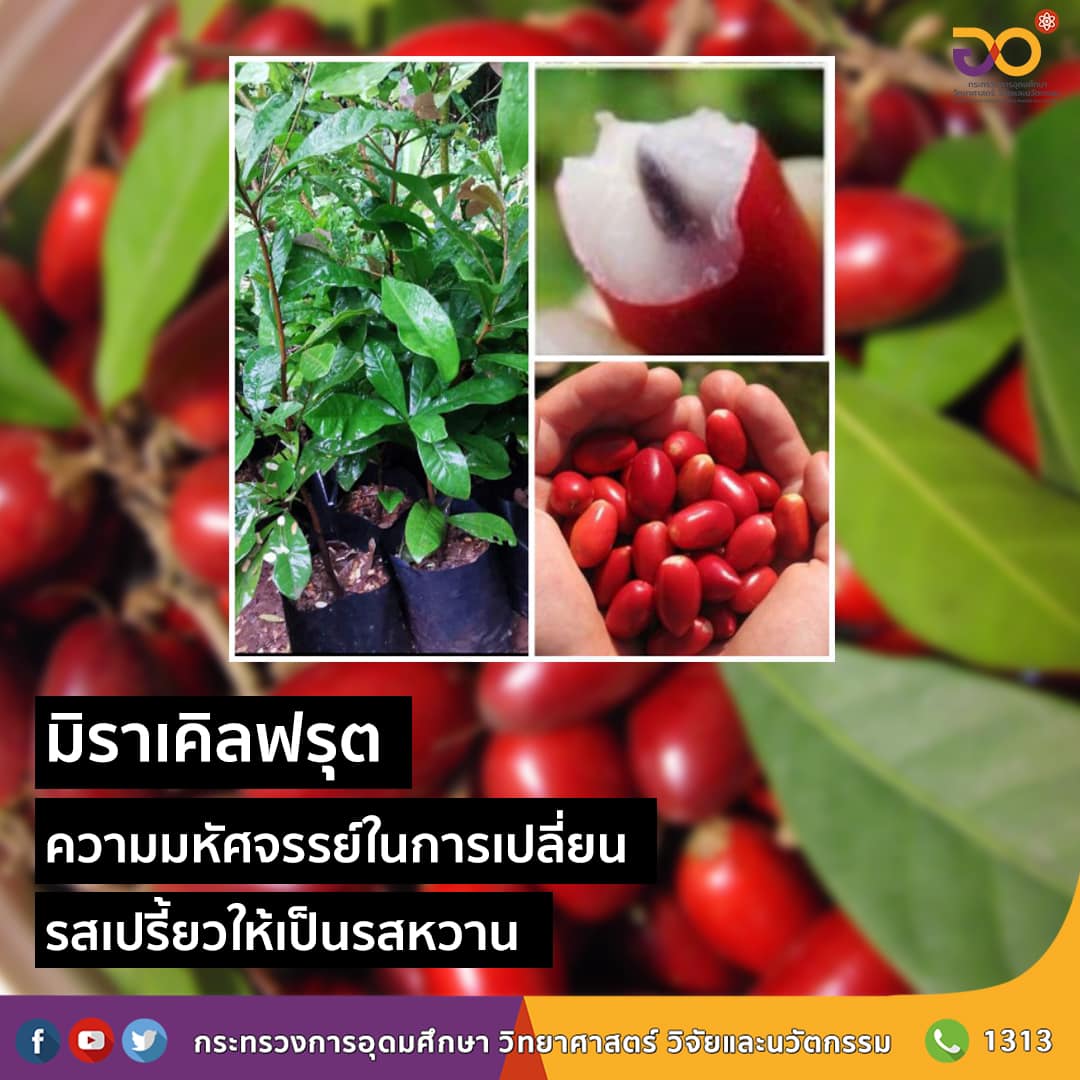 205726538 4732192303474479 7369336815978703225 n